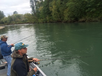 Fishing for summer King salmon from the Nisqually river