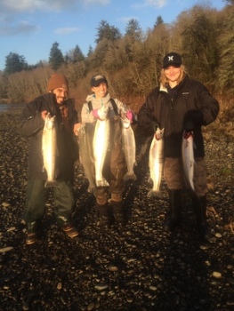 winter Steelhead salmon caught on the Wynoochee river
