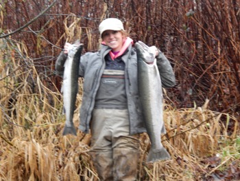 Wynoochee winter Steelhead salmon