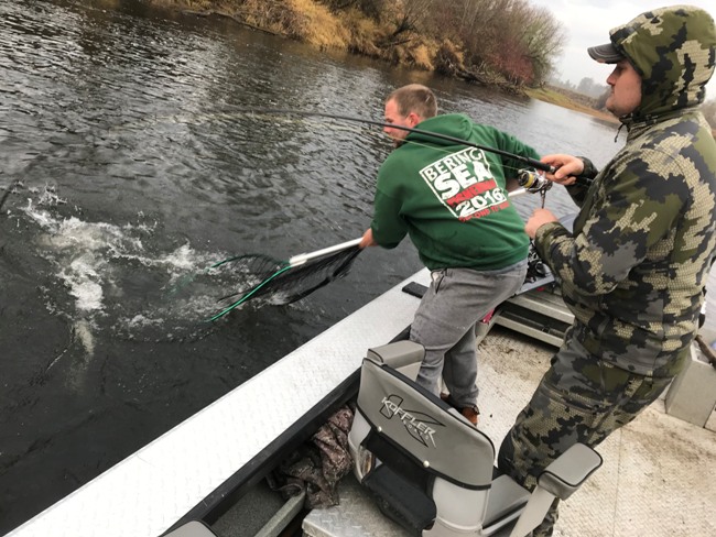 Chehalis River Fishing