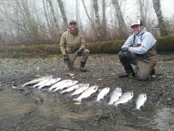 Chehalis River Fishing