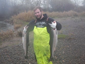 Chehalis river fall Coho salmon