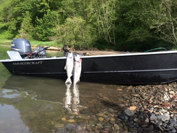 Cowlitz River Fishing