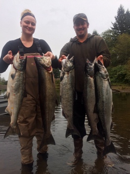 Humptulips river fall King salmon