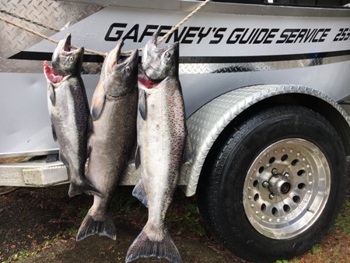 Kalama River Fishing