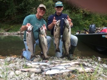 Summer King salmon from the Nisqually river