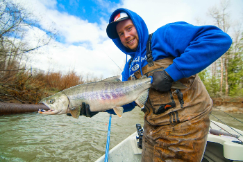 Fall Chum salmon and Coho salmon caught on the Satsop river